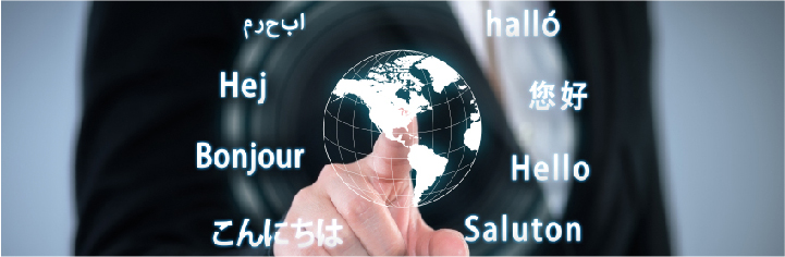 Professional Translation Services