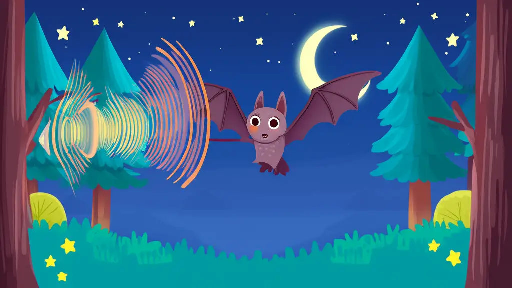 How Do Bats Find Their Way in the Dark?
