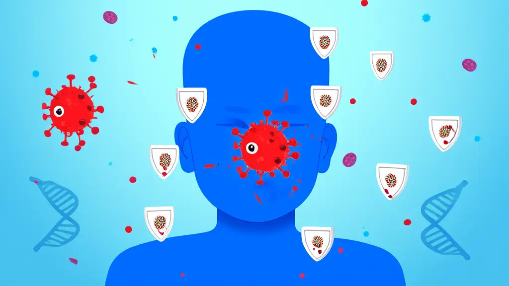 How Do Vaccines Help Your Body Fight Diseases?