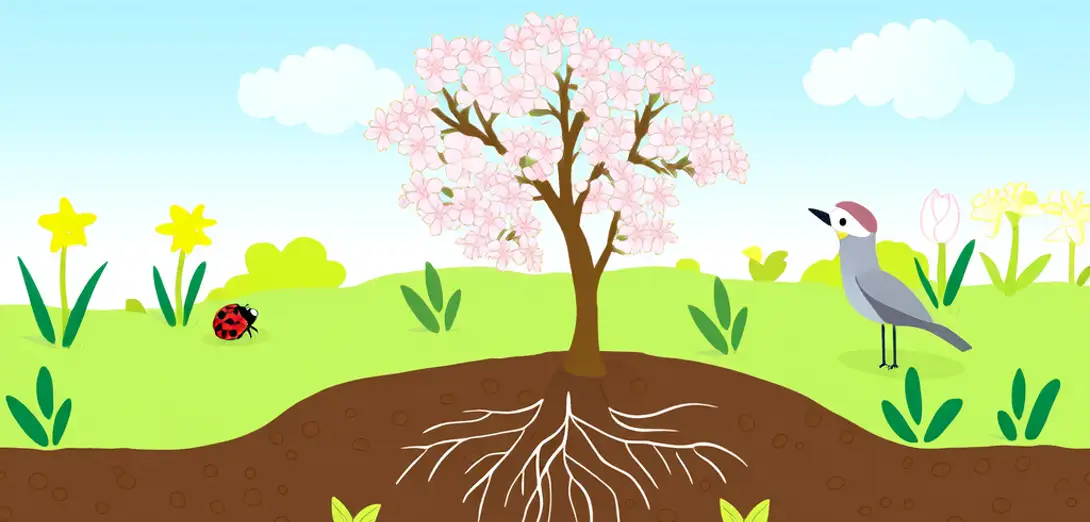 How Do Plants 'Know' When It’s Time to Bloom in Spring?