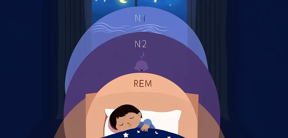 Sleep Stages and How Smart Bands Estimate Them