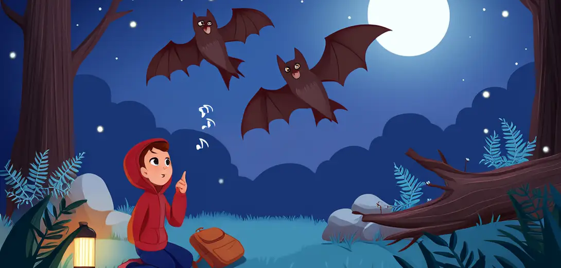 How Do Bats Find Their Way in the Dark?