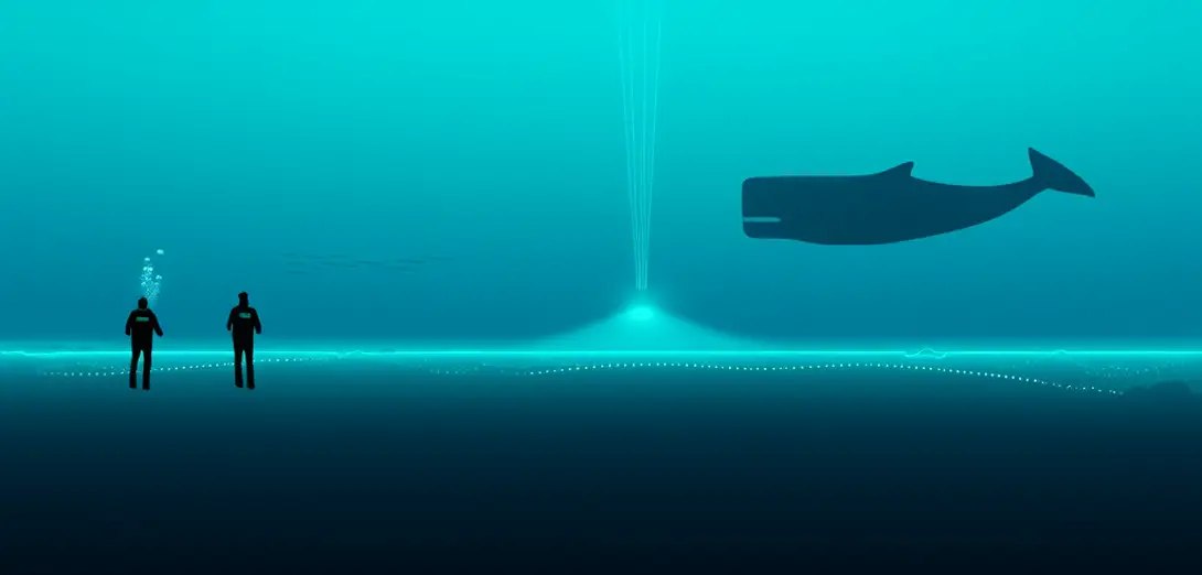 The Acoustic Principle Behind Whale Song Transmission Across Ocean Basins via the SOFAR Channel
