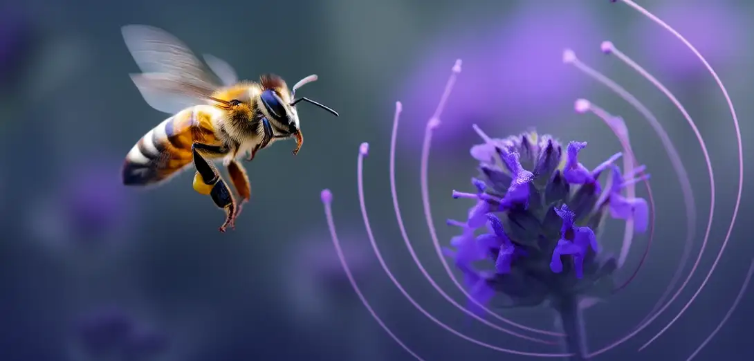 How Bees Detect Electric Fields Around Flowers
